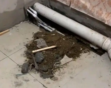 遵化卫生间漏水检测哪家好