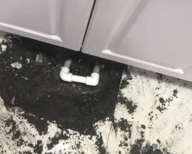 遵化查漏水哪家好