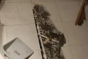 遵化卫生间漏水检测电话